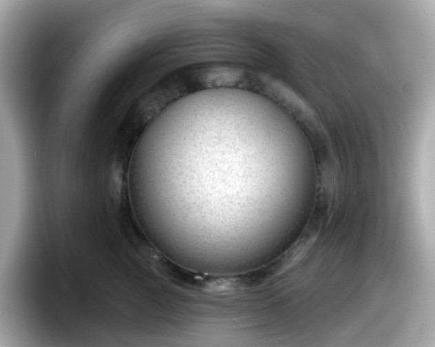 X0000098090761200804111002