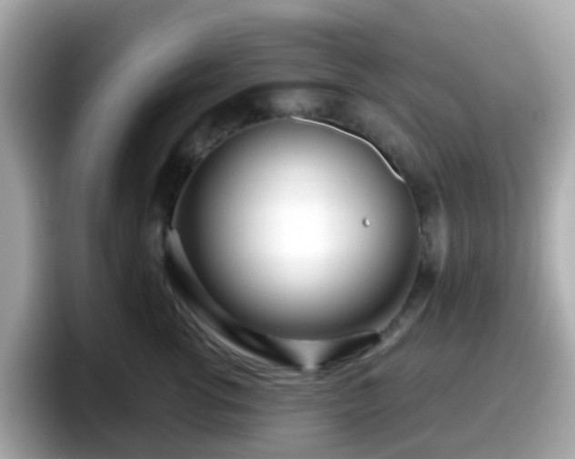 X0000098090762200804111002