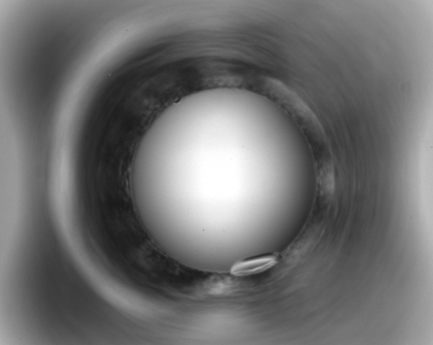 X0000098090764200804111002