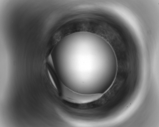 X0000098090766200804111002