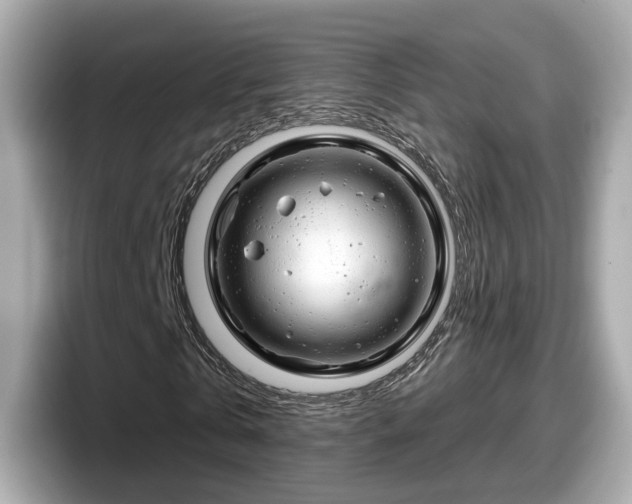 X0000098090769200804111002