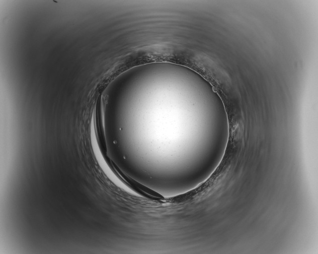 X0000098090772200804111002