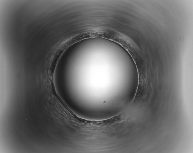 X0000098090773200804111002