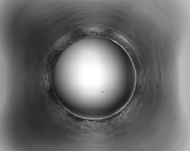 X0000098090774200804111002