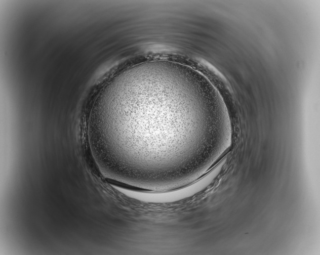 X0000098090775200804111002