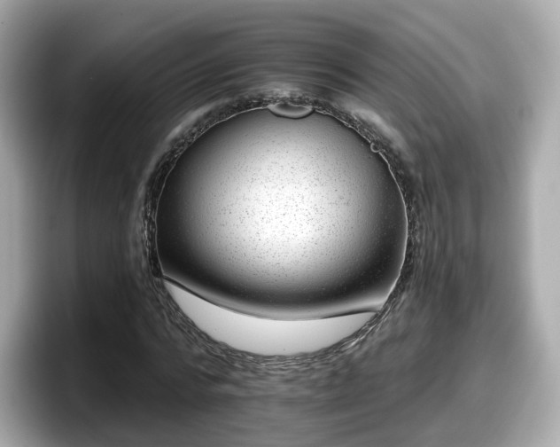 X0000098090776200804111002