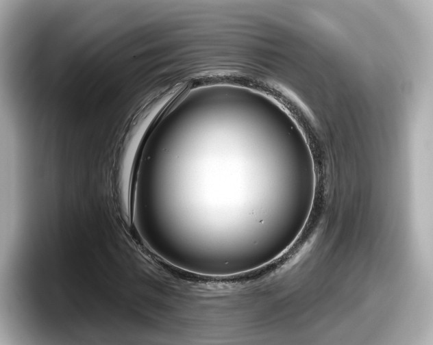 X0000098090777200804111002