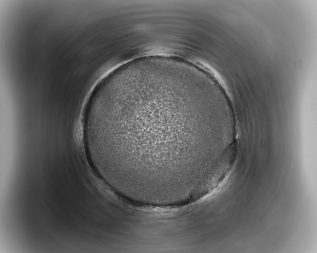 X0000098090779200804111002