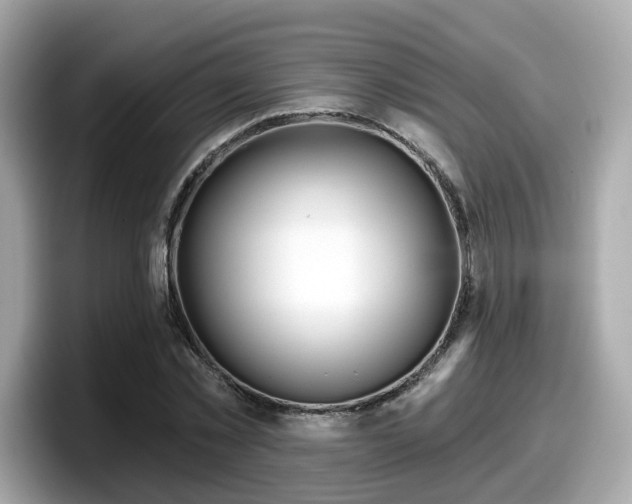 X0000098090781200804111002