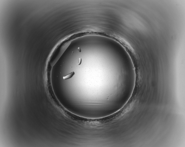 X0000098090784200804111002