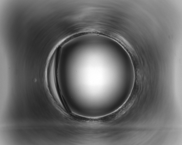 X0000098090788200804111002