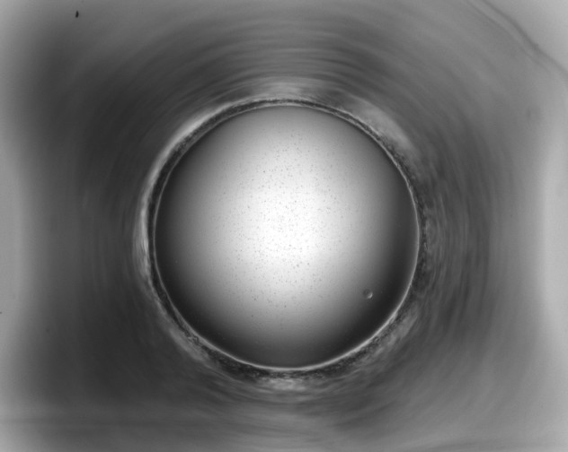 X0000098090792200804111002