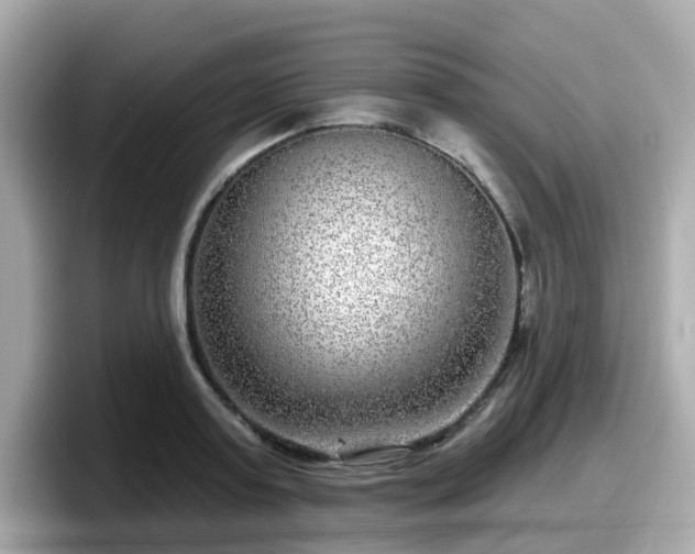 X0000098090795200804111002