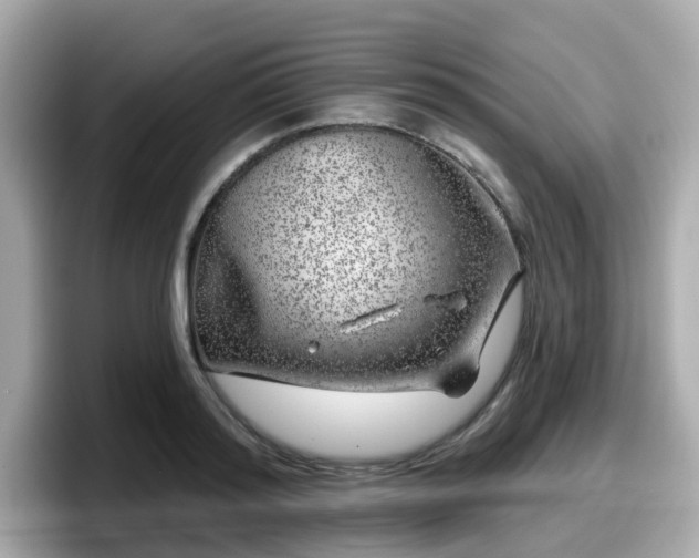 X0000098090796200804111001