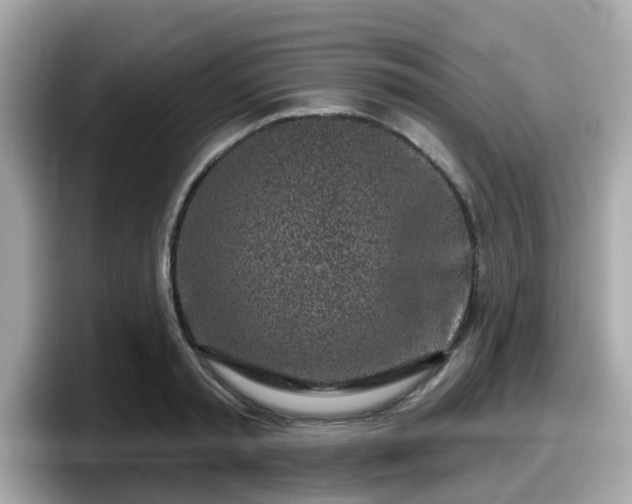X0000098090797200804111001