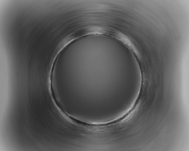 X0000098090802200804111001