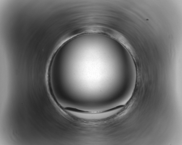 X0000098090803200804111001