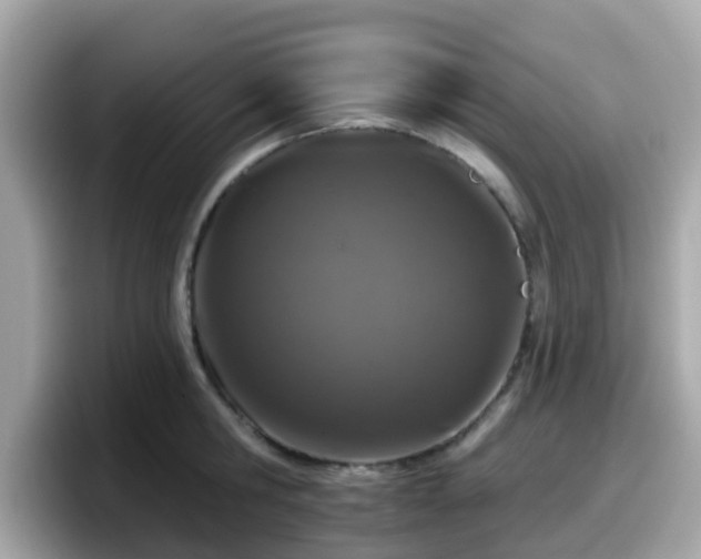 X0000098090806200804111001