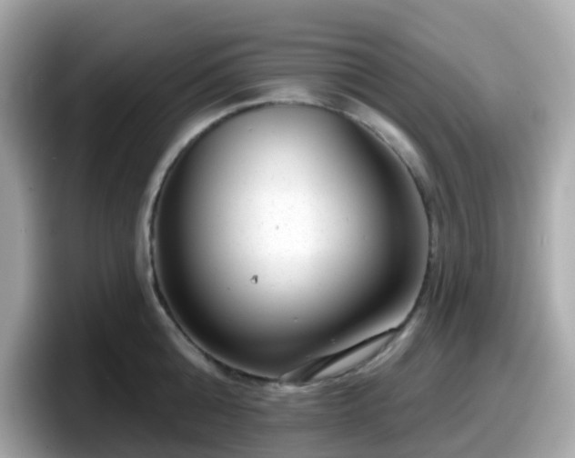 X0000098090808200804111001