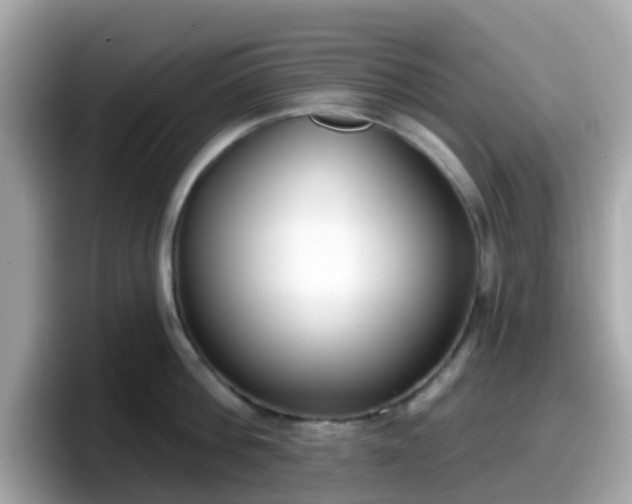 X0000098090812200804111001