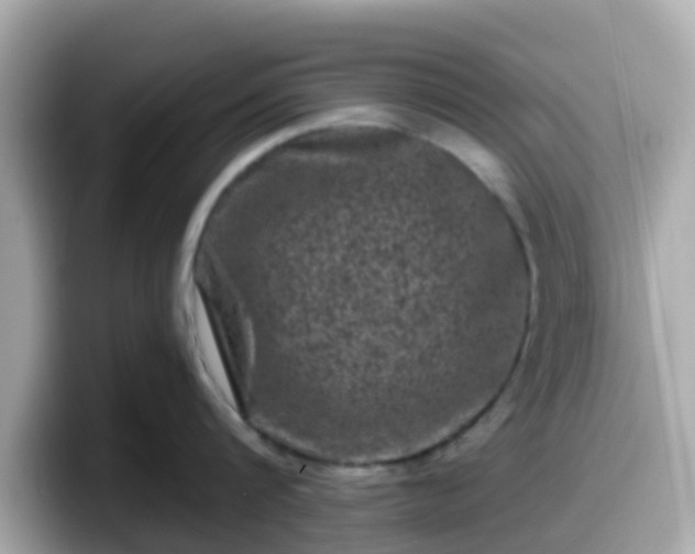 X0000098090816200804111001