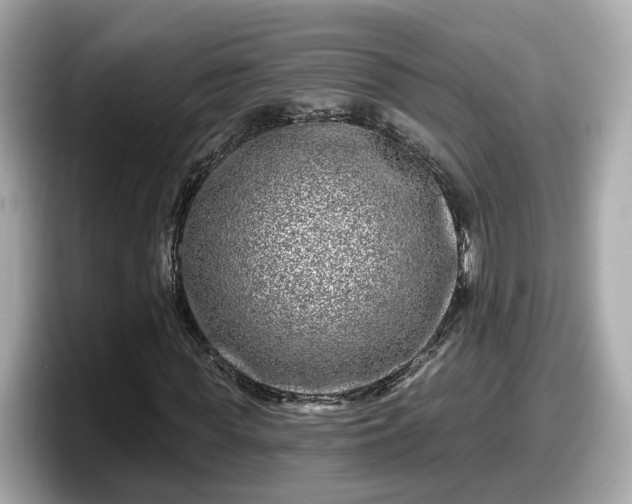 X0000098090819200804111001