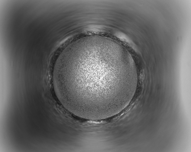 X0000098090822200804111001