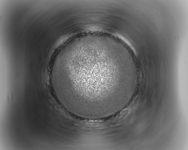 X0000098090823200804111001