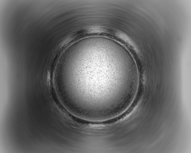 X0000098090825200804111001