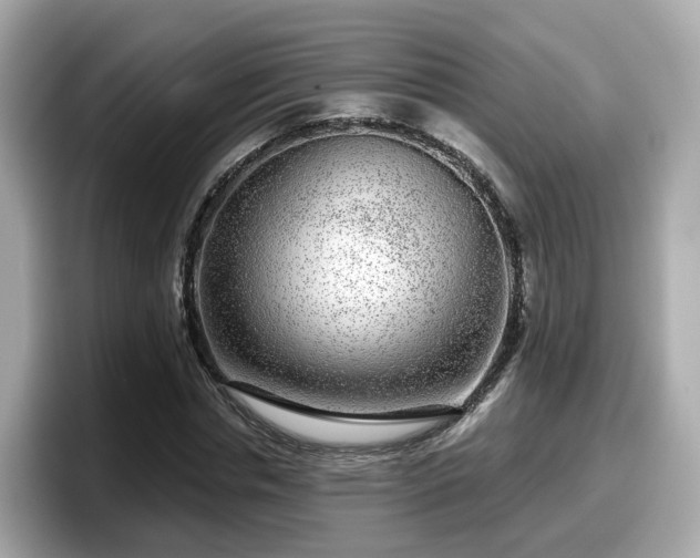 X0000098090826200804111001