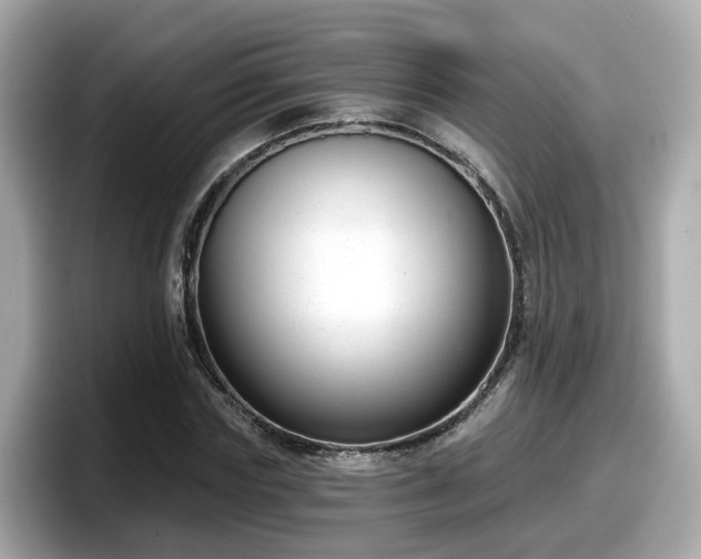 X0000098090827200804111001