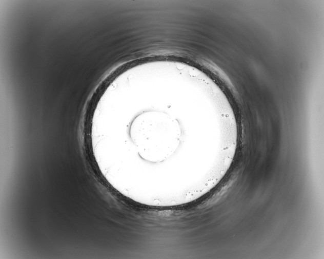 X0000098090828200804111001
