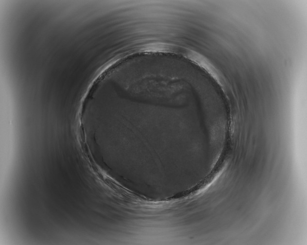 X0000098090829200804111001