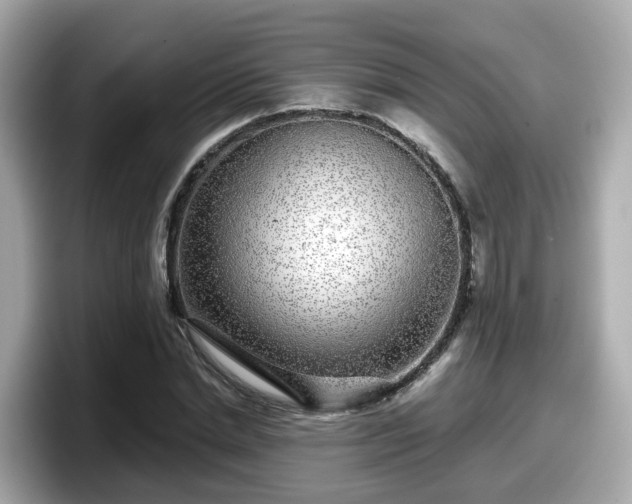 X0000098090830200804111001