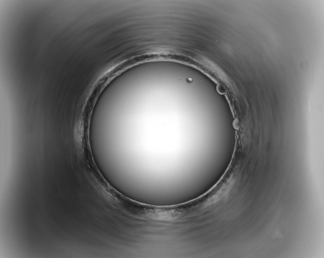 X0000098090831200804111001