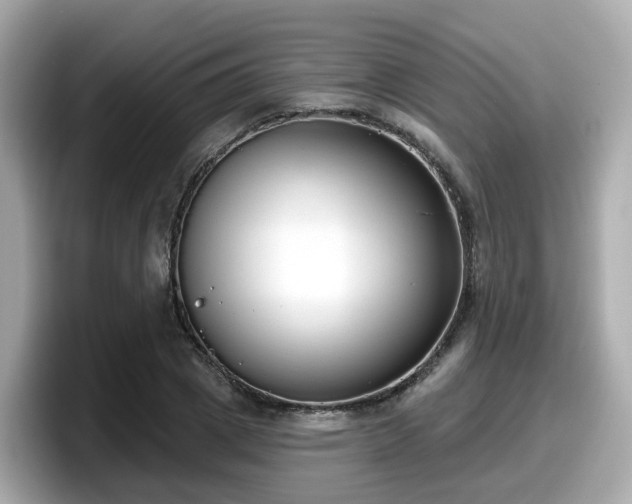 X0000098090833200804111001