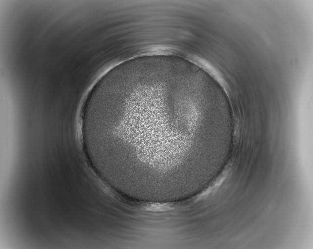 X0000098090835200804111001