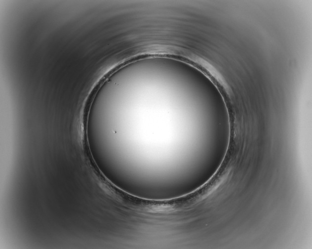 X0000098090837200804111001