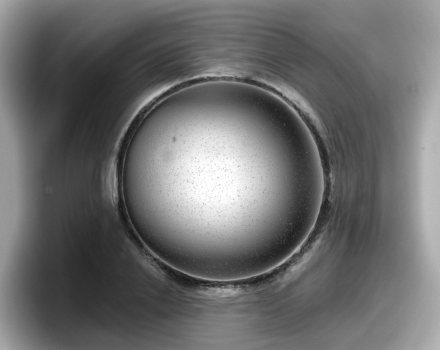 X0000098090838200804111001