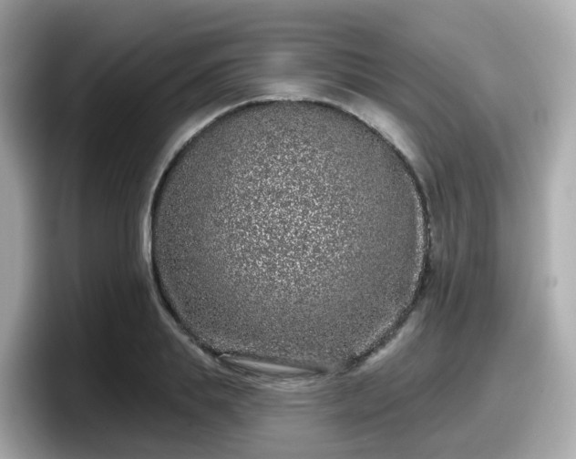X0000098090839200804111001