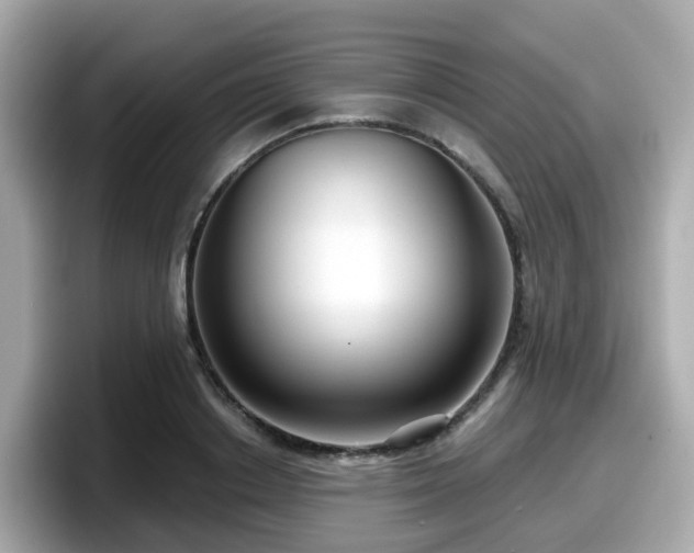 X0000098090842200804111001