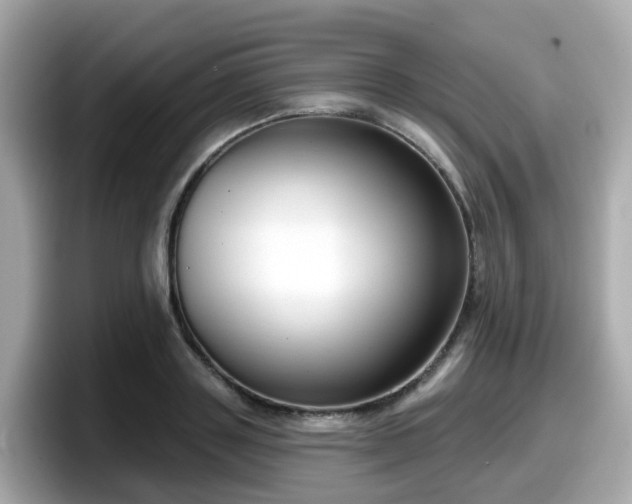 X0000098090843200804111001