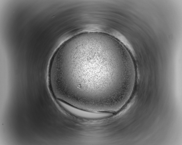 X0000098090845200804111001