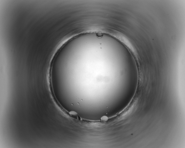 X0000098090847200804111001