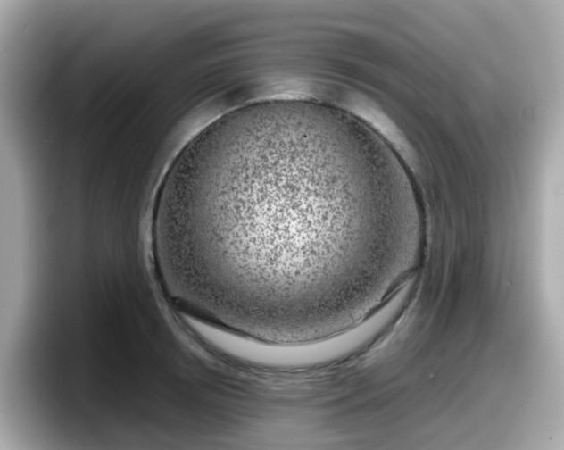 X0000098090850200804111001