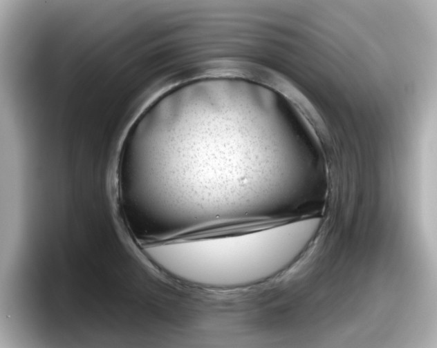 X0000098090852200804111001