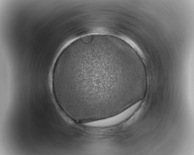 X0000098090854200804111001