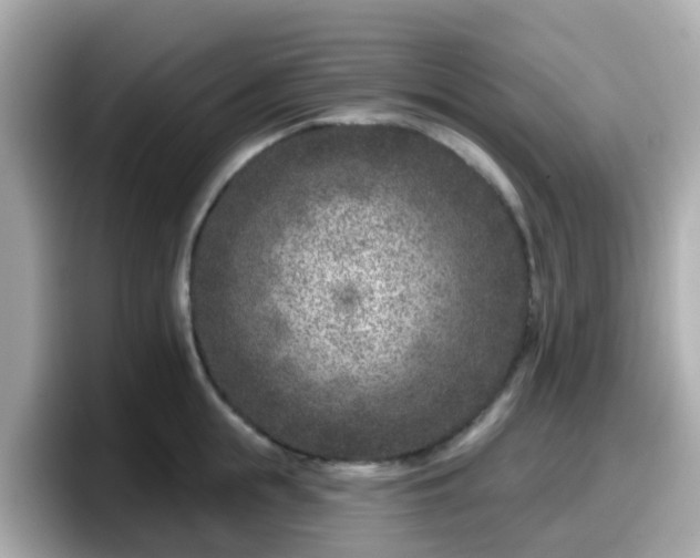 X0000098090855200804111001