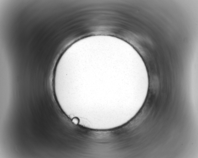 X0000098090856200804111001