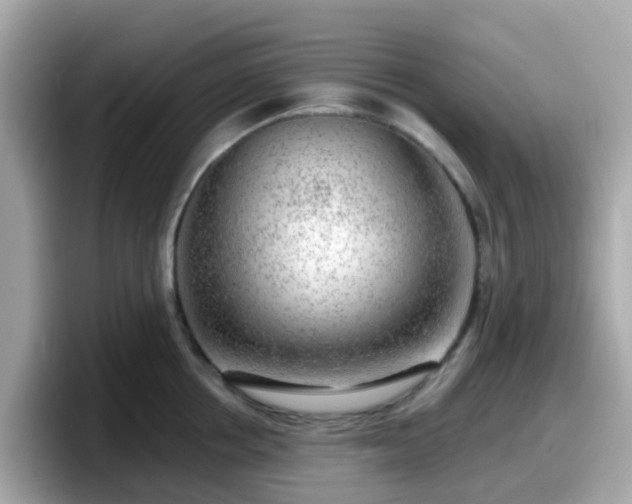 X0000098090858200804111001